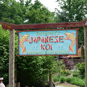 Catoctin Zoo -- Japanese Koi Entrance