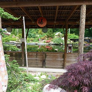Catoctin Zoo -- Japanese Koi Pond