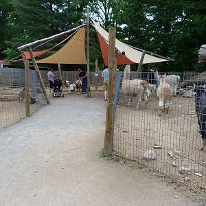 Catoctin Zoo - Petting Zoo Area