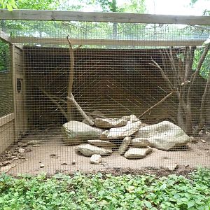 Catoctin Zoo -- Coati Exhibit