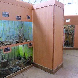 Catoctin Zoo -- New Reptile/Small Animal Building