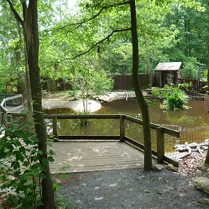 Catoctin Zoo -- Alligator Bayou