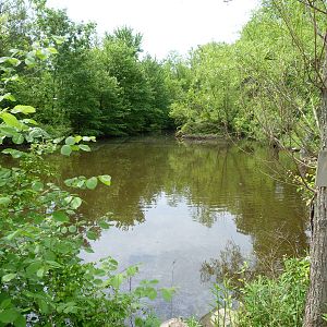 Catoctin Zoo -- Wildlife Preserve Pond