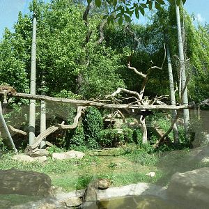 Jaguar exhibit