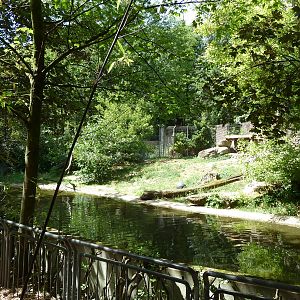 Lion exhibit (part 1)