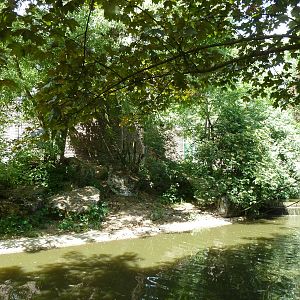 Lion exhibit (part 2)