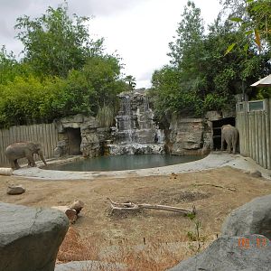 Asian elephant exhibit
