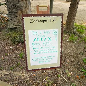 Sign announcing addax baby