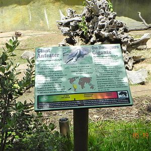 Giant anteater sign