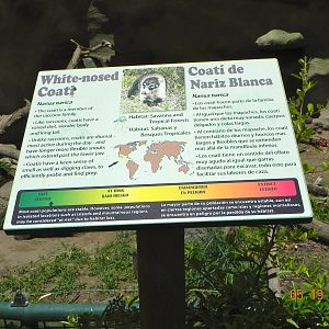 Coati sign