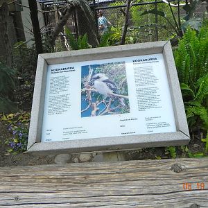 Kookaburra sign