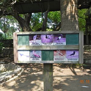 African Aviary sign