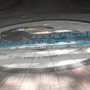 Tropical Rain Forrest sign