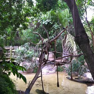 Rain Forrest exhibit