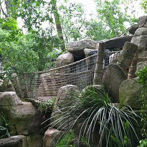 Rain Forrest exhibit