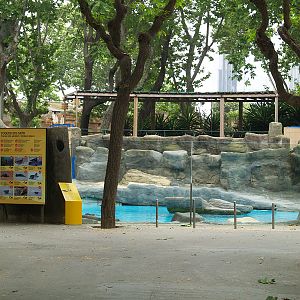 Barcelona Zoo -Seals pool