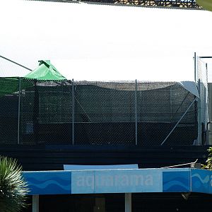 Barcelona Zoo - Provisional pool for sea lions