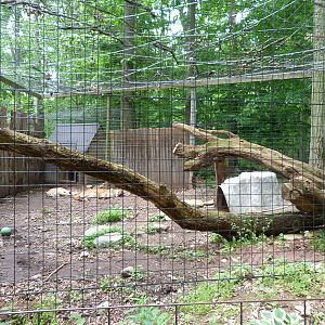 Catoctin Zoo -- Cougar Exhibit