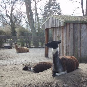guldborgsund zoo
