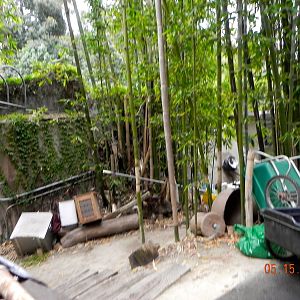 Sunrise Stroll- Behind the bear enclousures