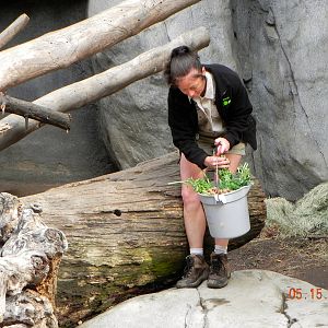 Sunrise Stroll-Keeper placing food