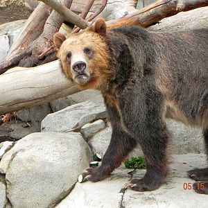 Sunrise Stroll-found it!