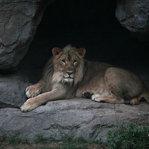 Night Zoo - May 27, 2011