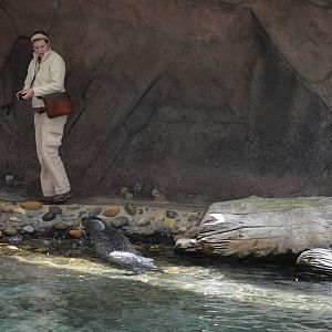 Harbor Seal and Keeper