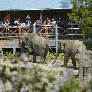 Tina and Jewel With Keeper