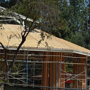 Future Carousel Progress