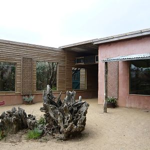 Narrow-Striped mongoose enclosure