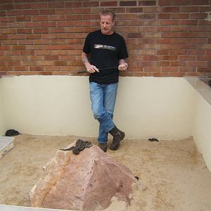 The King Cobra Sanctuary