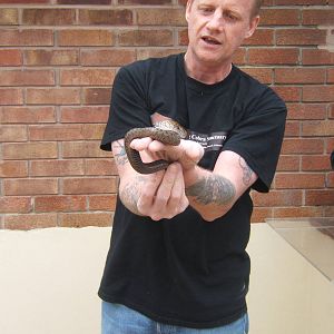 The King Cobra Sanctuary