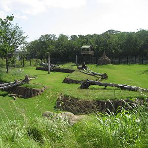 View of the North Savanna