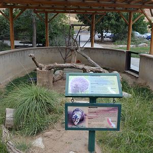 California Living Museum - Porcupine and Opossum Exhibit