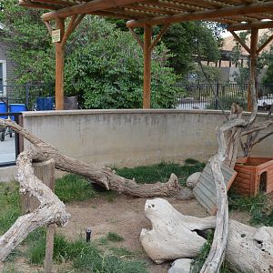 California Living Museum - Porcupine and Opossum Exhibit