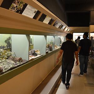 California Living Museum - Reptile House Interior