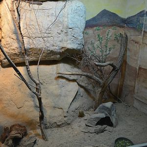 California Living Museum - Desert Exhibit