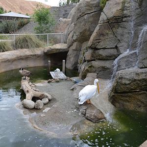 California Living Museum - Waterfowl Exhibit