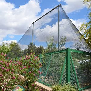 California Living Museum - Desert Display Aviary