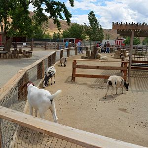 California Living Museum - Children's Park