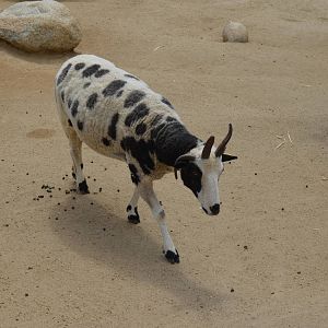California Living Museum - Children's Park