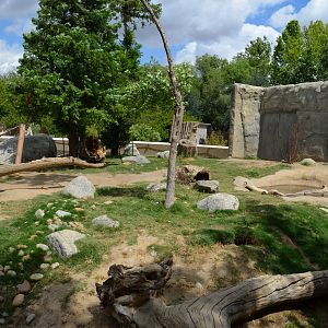 California Living Museum - Black Bear Habitat