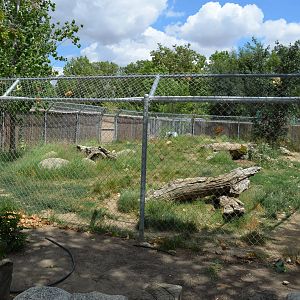 California Living Museum - Coyote Exhibit