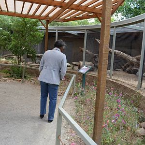 California Living Museum - Mammal Round