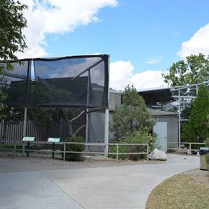 California Living Museum - Raptor Aviaries