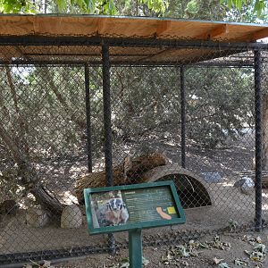 California Living Museum - Badger Exhibit