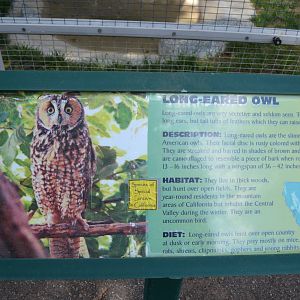 California Living Museum - Long -faced Owl Signage