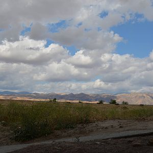 California Living Museum - Surrounding Area