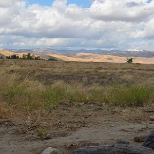 California Living Museum - Surrounding Area